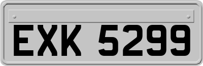 EXK5299