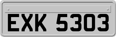 EXK5303