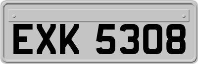 EXK5308