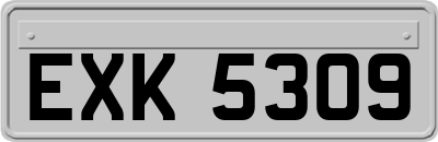 EXK5309