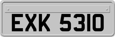 EXK5310
