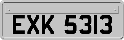 EXK5313