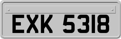 EXK5318