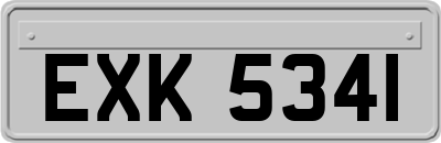 EXK5341