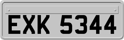EXK5344