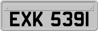 EXK5391
