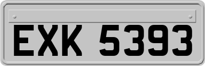 EXK5393