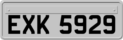 EXK5929