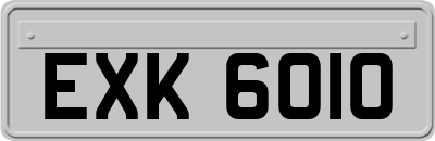 EXK6010