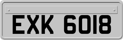 EXK6018