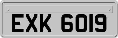 EXK6019