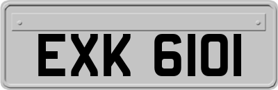 EXK6101