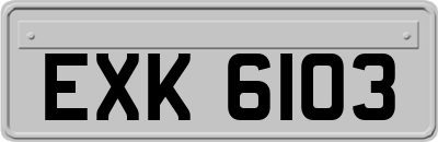 EXK6103