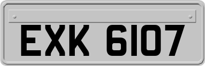 EXK6107