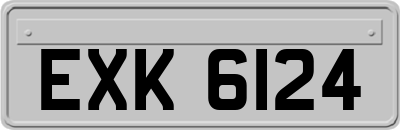EXK6124