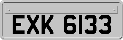 EXK6133