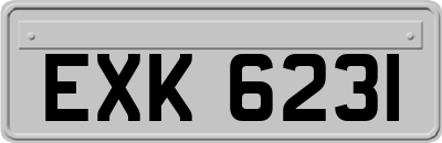 EXK6231