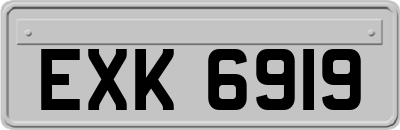 EXK6919