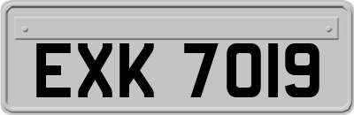 EXK7019