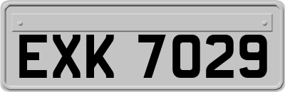 EXK7029