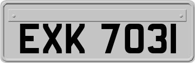 EXK7031