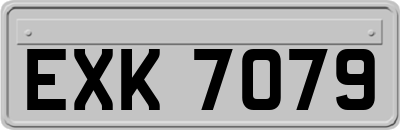EXK7079