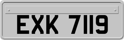 EXK7119