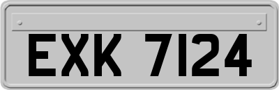 EXK7124