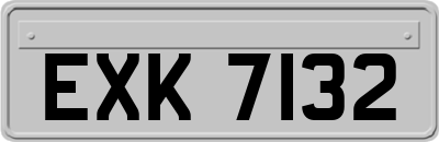 EXK7132
