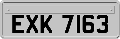 EXK7163