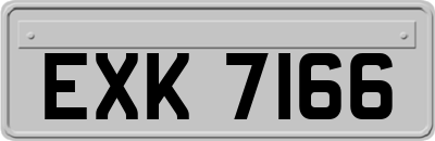 EXK7166