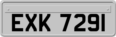 EXK7291
