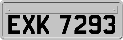 EXK7293