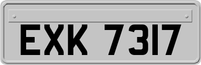 EXK7317
