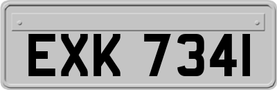 EXK7341