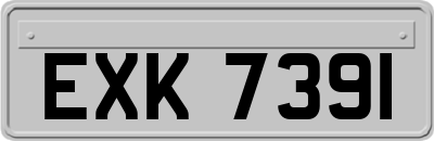 EXK7391