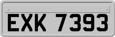 EXK7393