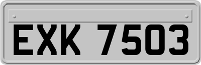 EXK7503