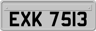 EXK7513