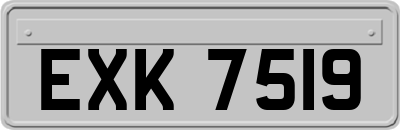 EXK7519