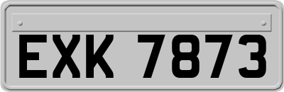 EXK7873