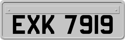 EXK7919
