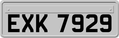EXK7929