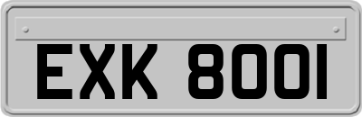 EXK8001