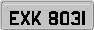 EXK8031