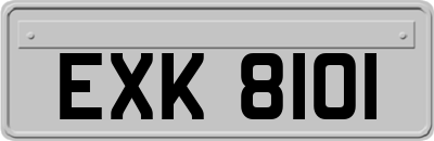 EXK8101