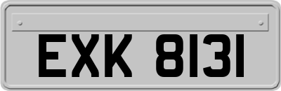 EXK8131
