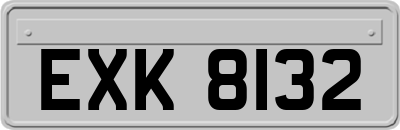 EXK8132