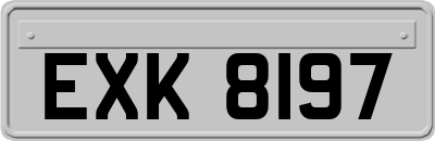 EXK8197