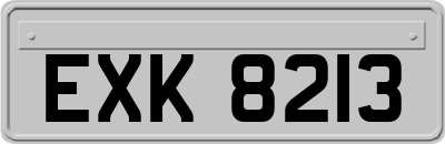EXK8213